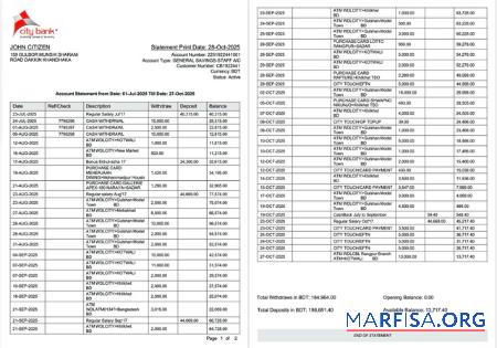 Blank Bangladesh City bank statement word 2 pages real example